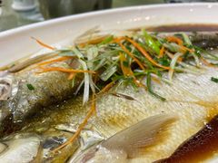 清蒸鲜白鱼-西新饭店(城中店)