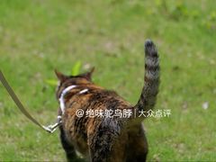 -金鸡湖景区