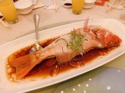 -上海大酒店·婚宴年会宴会厅