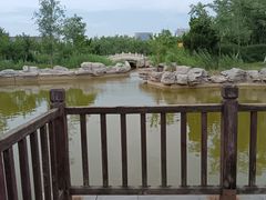 -绿岛公园(滨海新区)