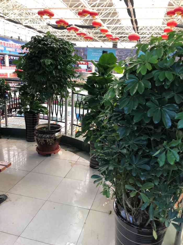 玉皇商城(东子数码店)-"是葫芦岛著名的小商品城 鲜花 灯笼 对联.