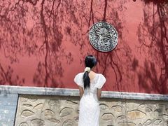 -塔尔寺-菩提树