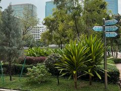 -九龙公园