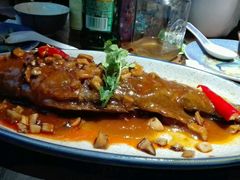 -雀舞云南菜(乐客城店)
