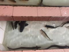 -荣兴河鲜楼(江口店)