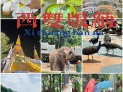 -中国科学院西双版纳热带植物园