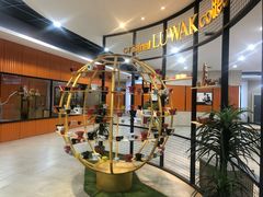 -巴厘岛黄金金兔咖啡工厂