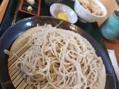 -白川乡手打荞麦面