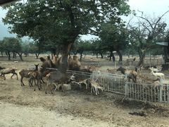 -西安秦岭野生动物园