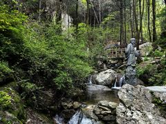 -王顺山国家森林公园