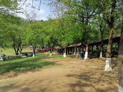 -高尔山公园