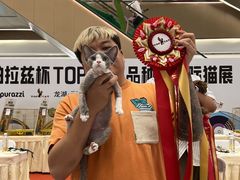 -帕帕拉兹宠物(亚洲旗舰店)