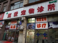 IMG_3412-甄爱宠物医院(疏影路店)