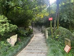 -十八棵（老龙井）御茶园(老龙井店)