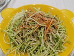 -邵年鸽(杨庄店)
