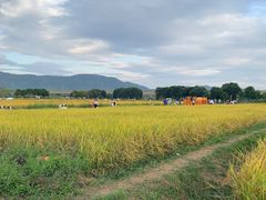 -光明小镇欢乐田园