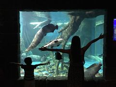 -多彩贵州城极地海洋世界