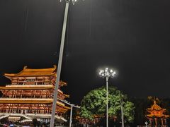 -杜甫江阁