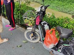 -长洲岛