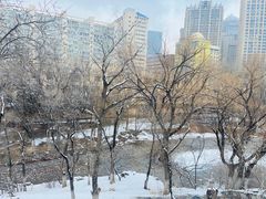 -青城公园