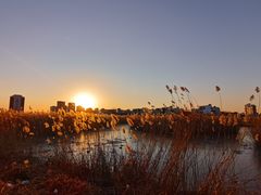 -天津东丽湖风景区