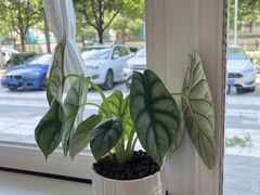 -Fulu Coffee福禄(花园城店)