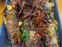 -东北小板凳地摊烧烤(泰来街店)