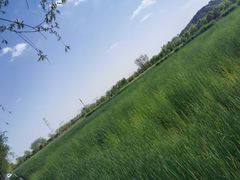 -永定河休闲森林公园