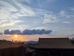 -深圳仙湖植物园