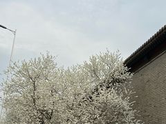 -北京国子监胡同