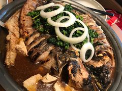 -鱼酷活鱼烤鱼(静安大融城店)