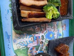 -雨林餐厅(长隆海洋王国店)