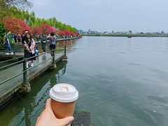 -西湖游船