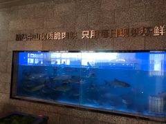 -淘米捞·米汤脆鲩鱼火锅(福田皇岗店)