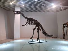 -烟台自然博物馆
