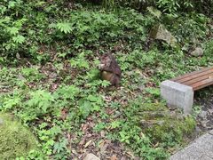 -西岭雪山大飞水景区