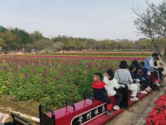 -丹樱生态园