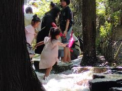 -沕沕水生态风景区