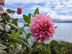 -丽江泸沽湖景区