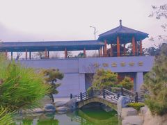 -中国唐苑