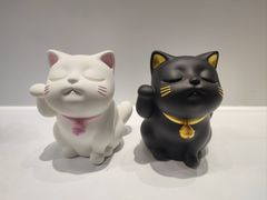 -常州奔牛国际机场