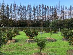 -前小桔亲子创意农场·草莓采摘·露营烧烤