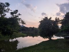 -番禺大夫山森林公园