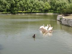 -哈尔滨北方森林动物园