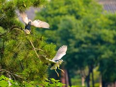 -西安汉城湖景区