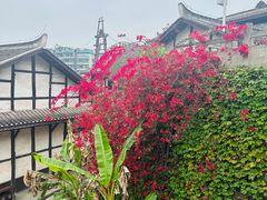 -燊海井