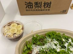 -油梨树AVOCADO TREE(嘉里中心店)