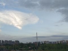 -书亦烧仙草(中南一路店)