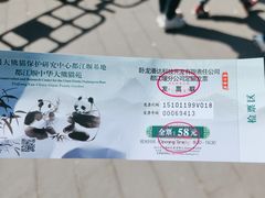 -都江堰中华大熊猫苑