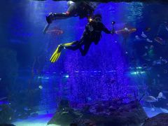 -沈阳海洋探索中心